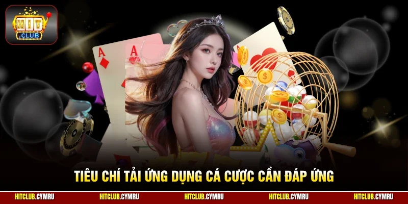 Tiêu chí tải ứng dụng cá cược cần đáp ứng